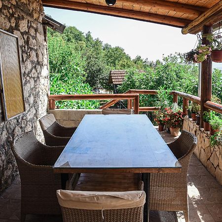 Apartament Old House Kontic Nikšić Zewnętrze zdjęcie
